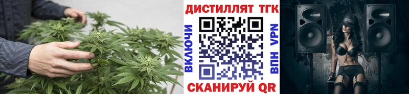 Дистиллят ТГК концентрат  omg   Кизляр 