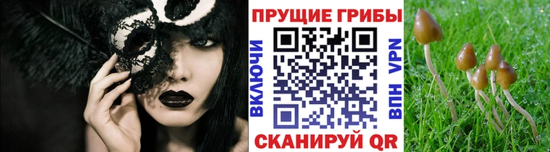 Галлюциногенные грибы ЛСД  что такое наркотик  Кизляр 