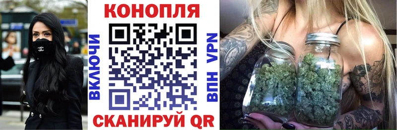 купить наркоту  МЕГА ССЫЛКА  Шишки марихуана гибрид  Кизляр 
